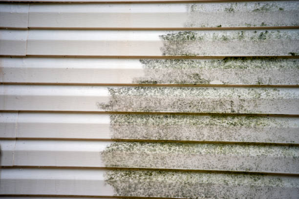 Best James Hardie Siding  in Mickleton, NJ