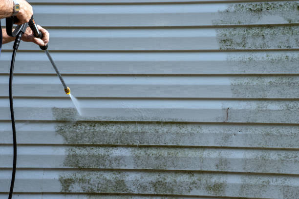 Best Custom Trim and Detailing for Siding  in Mickleton, NJ