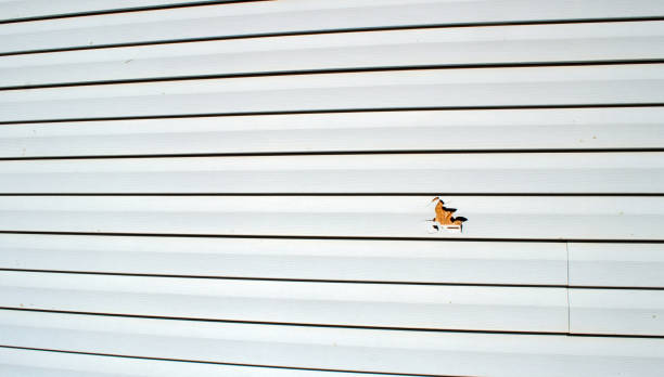 Best Siding Painting and Refinishing  in Mickleton, NJ