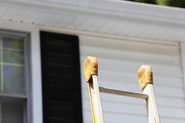 Best Stone Veneer Siding  in Mickleton, NJ